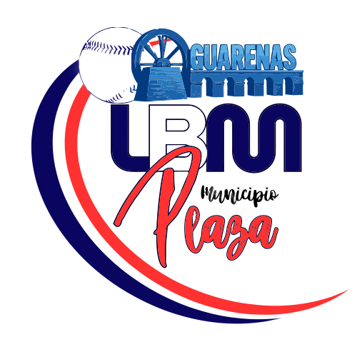 Liga Mayor